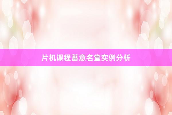 片机课程蓄意名堂实例分析