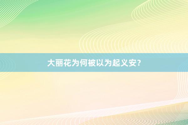 大丽花为何被以为起义安？