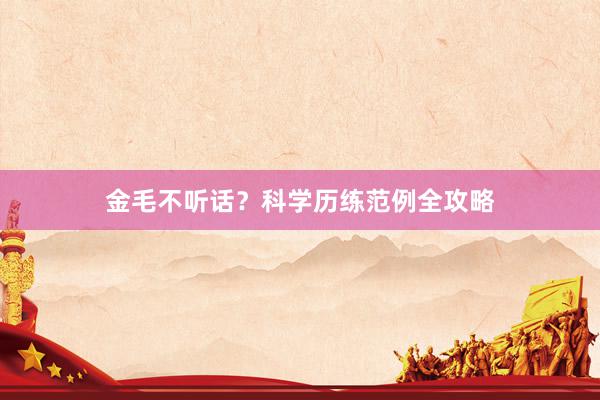 金毛不听话?科学历练范例全攻略