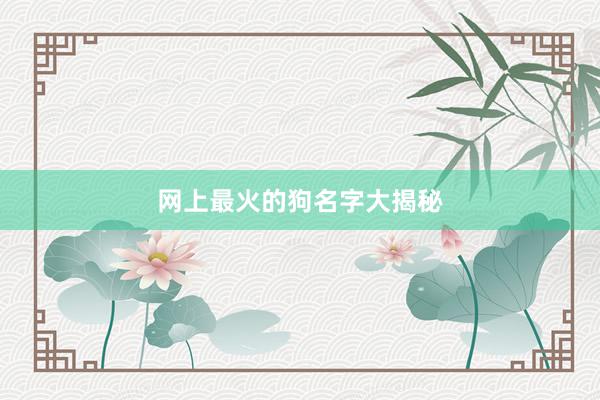 网上最火的狗名字大揭秘
