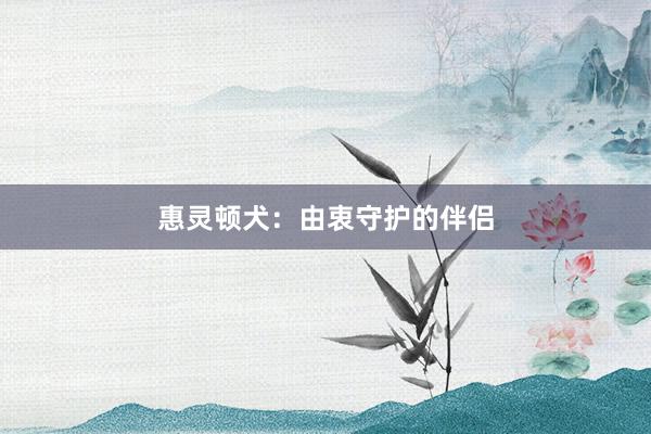 惠灵顿犬：由衷守护的伴侣